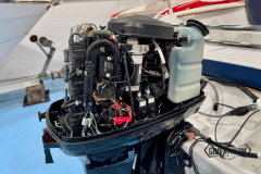 Galia-485-17