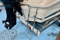 Galia-485-18