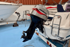 Galia-485-21
