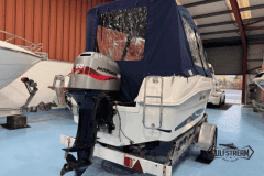 Galia-485-7