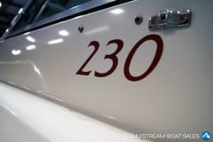 SONY DSC