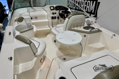 Copy of Shearwater R65 - 12