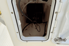 Yellow-rib-10