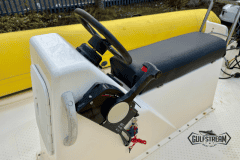 Yellow-rib-11
