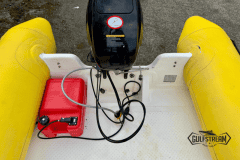 Yellow-rib-12