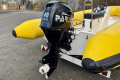 Yellow-rib-17