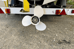 Yellow-rib-18