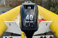 Yellow-rib-19