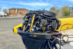 Yellow-rib-20