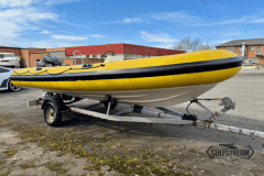 Yellow-rib-24
