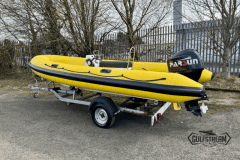 Yellow-rib-27