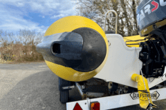 Yellow-rib-29