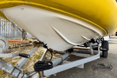 Yellow-rib-31