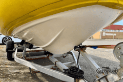 Yellow-rib-32