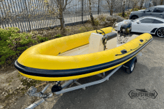 Yellow-rib-34