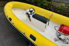 Yellow-rib-37