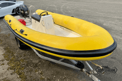Yellow-rib-38