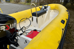 Yellow-rib-40