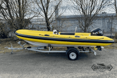 Yellow-rib-41