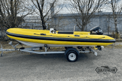 Yellow-rib-43