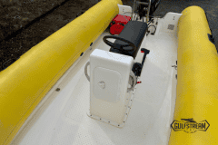 Yellow-rib-6