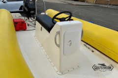 Yellow-rib-7