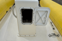 Yellow-rib-9